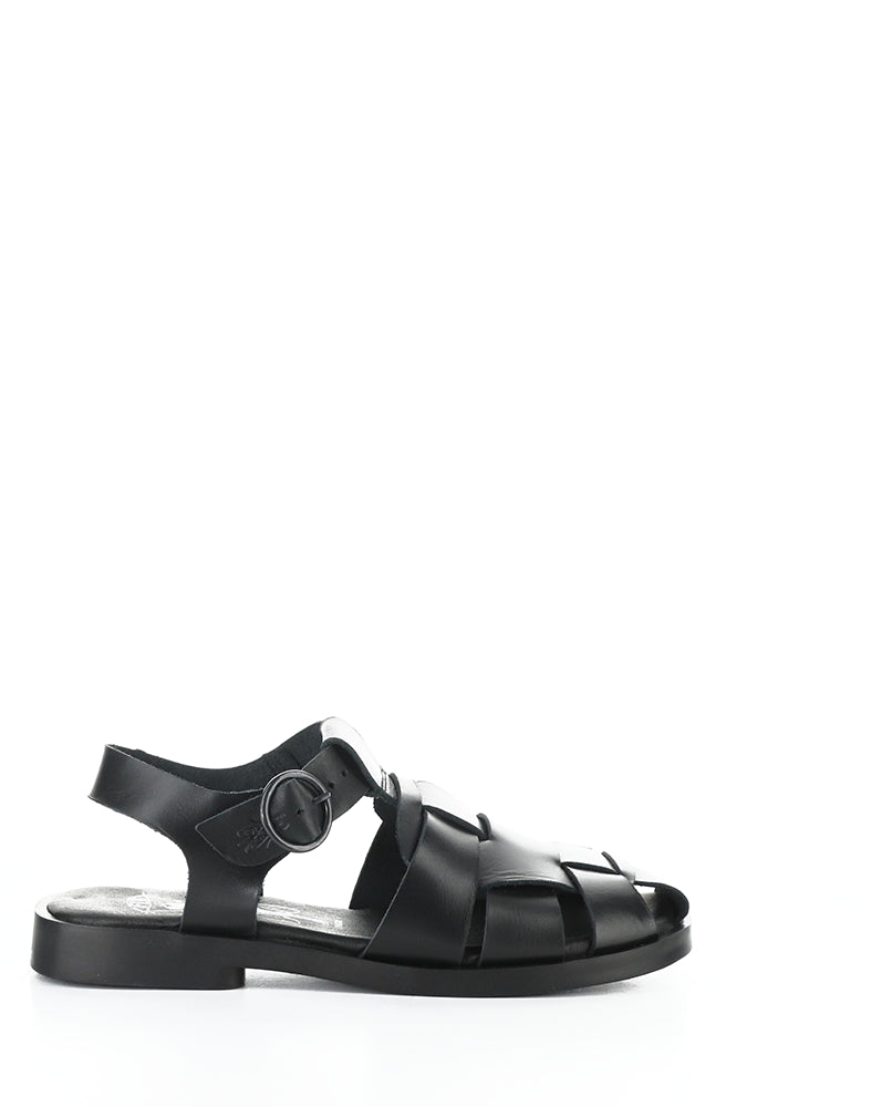 Ared437Fly 000 Black Bridle