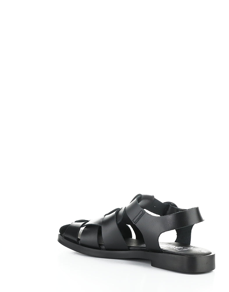 Ared437Fly 000 Black Bridle