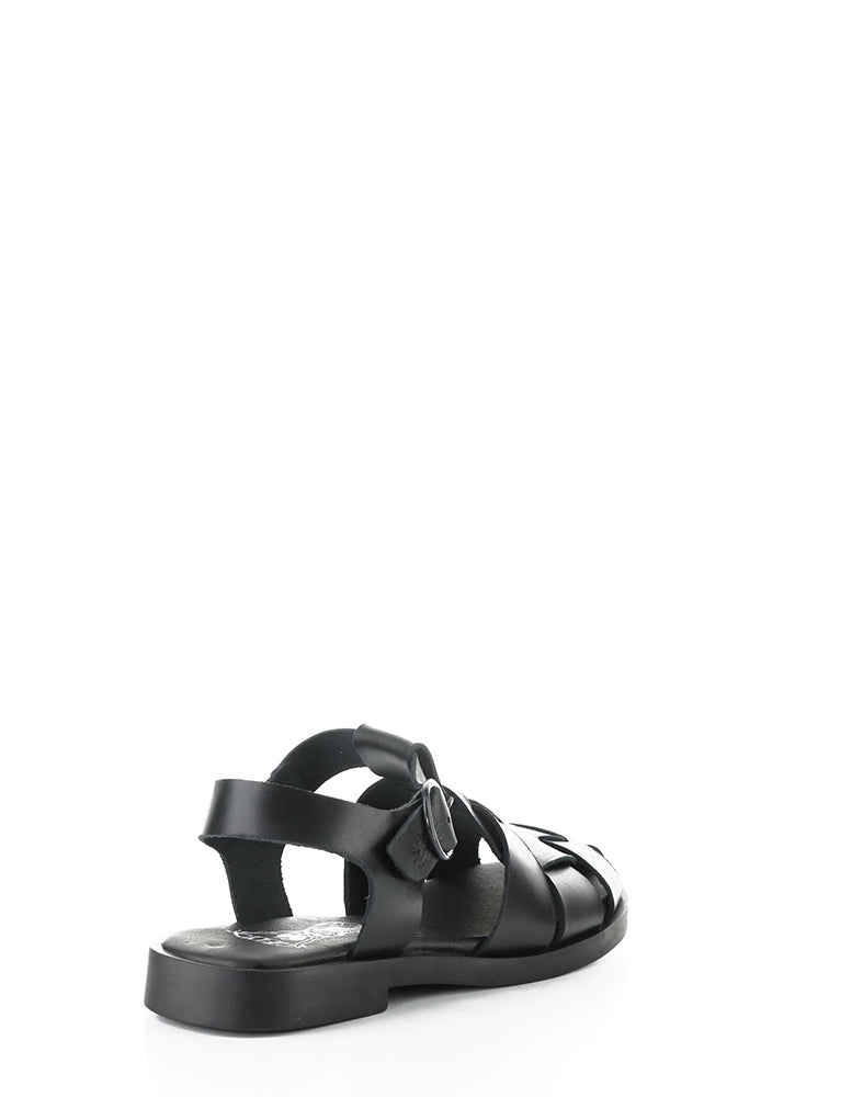 Ared437Fly 000 Black Bridle