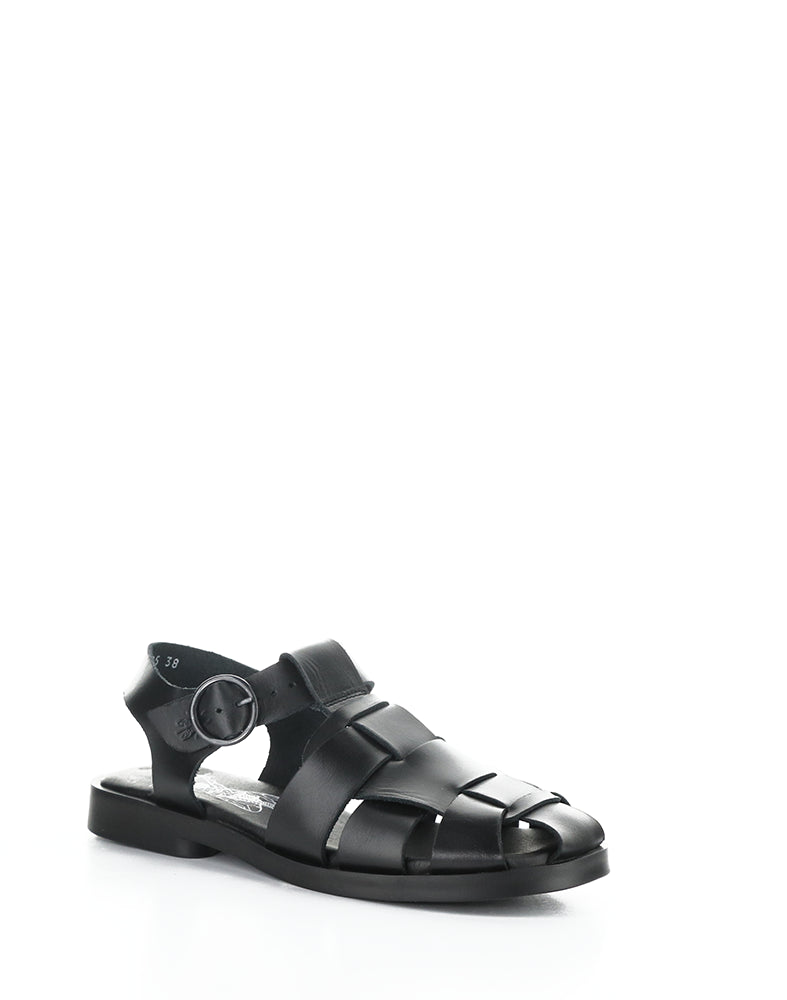 Ared437Fly 000 Black Bridle