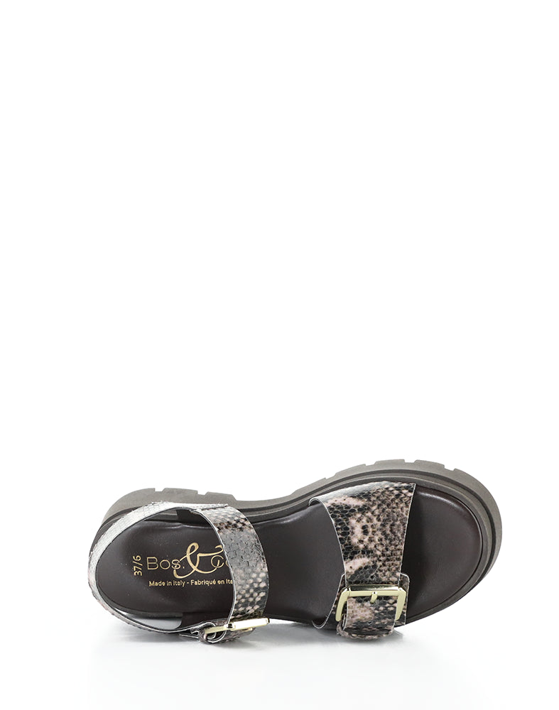 Cinder Taupe Python Print