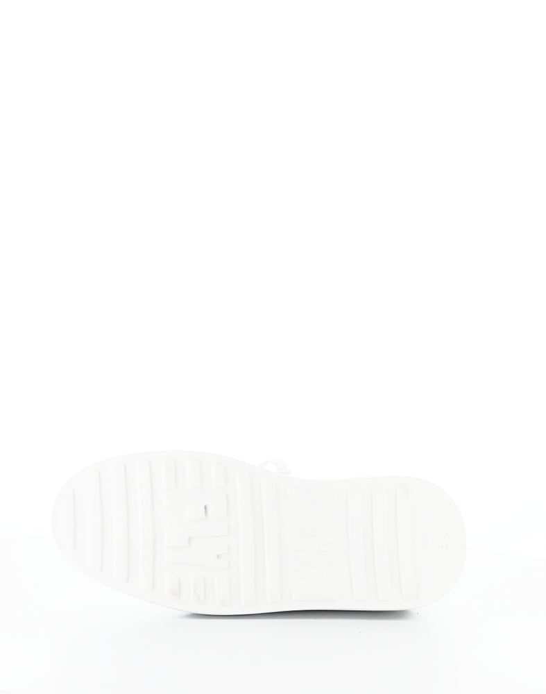 Derk742Fly 002 Silver Laminato