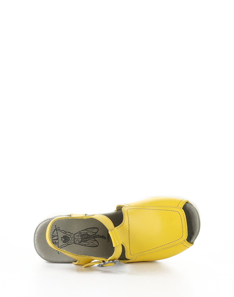 Flig419Fly 003 Yellow Brooklyn