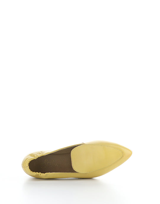 Nikki Ocra Pointed Toe Shoes