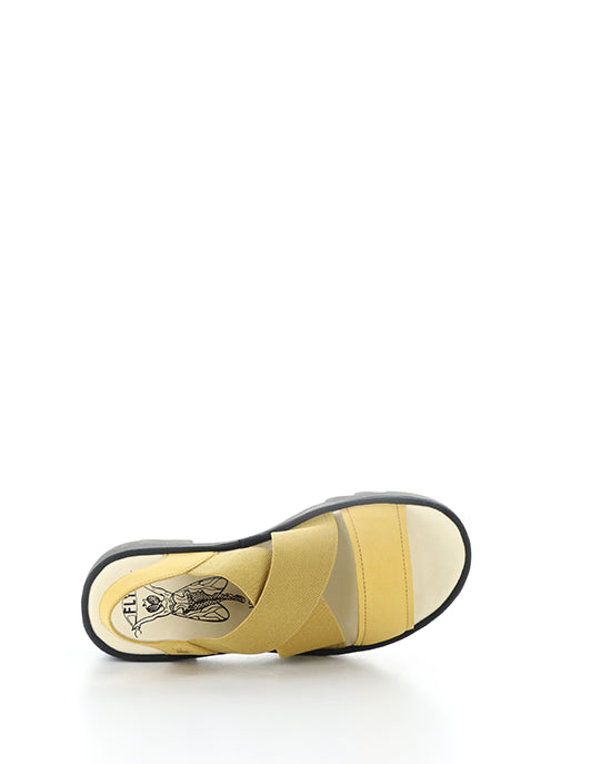 TAJI502FLY 001 BUMBLEBEE CUPIDO