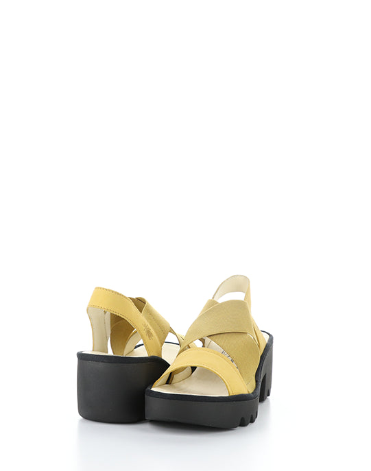 TAJI502FLY 001 BUMBLEBEE CUPIDO