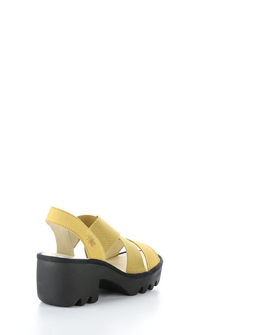 TAJI502FLY 001 BUMBLEBEE CUPIDO