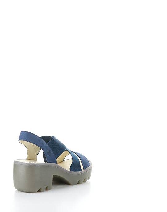 TAJI502FLY 002 BLUE CUPIDO