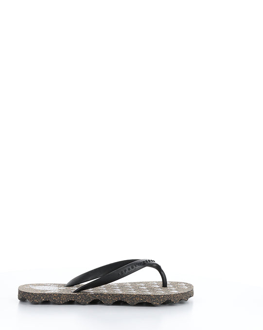 Turtle112Asp 001 Black Black Rubber