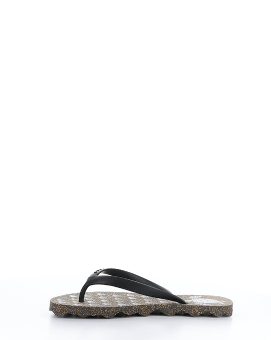 Turtle112Asp 001 Black Black Rubber