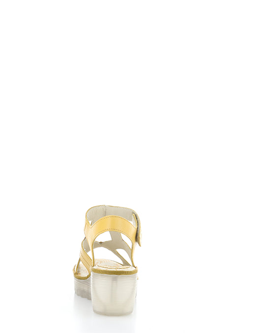 Yotu472Fly 003 Bumblebee Mousse