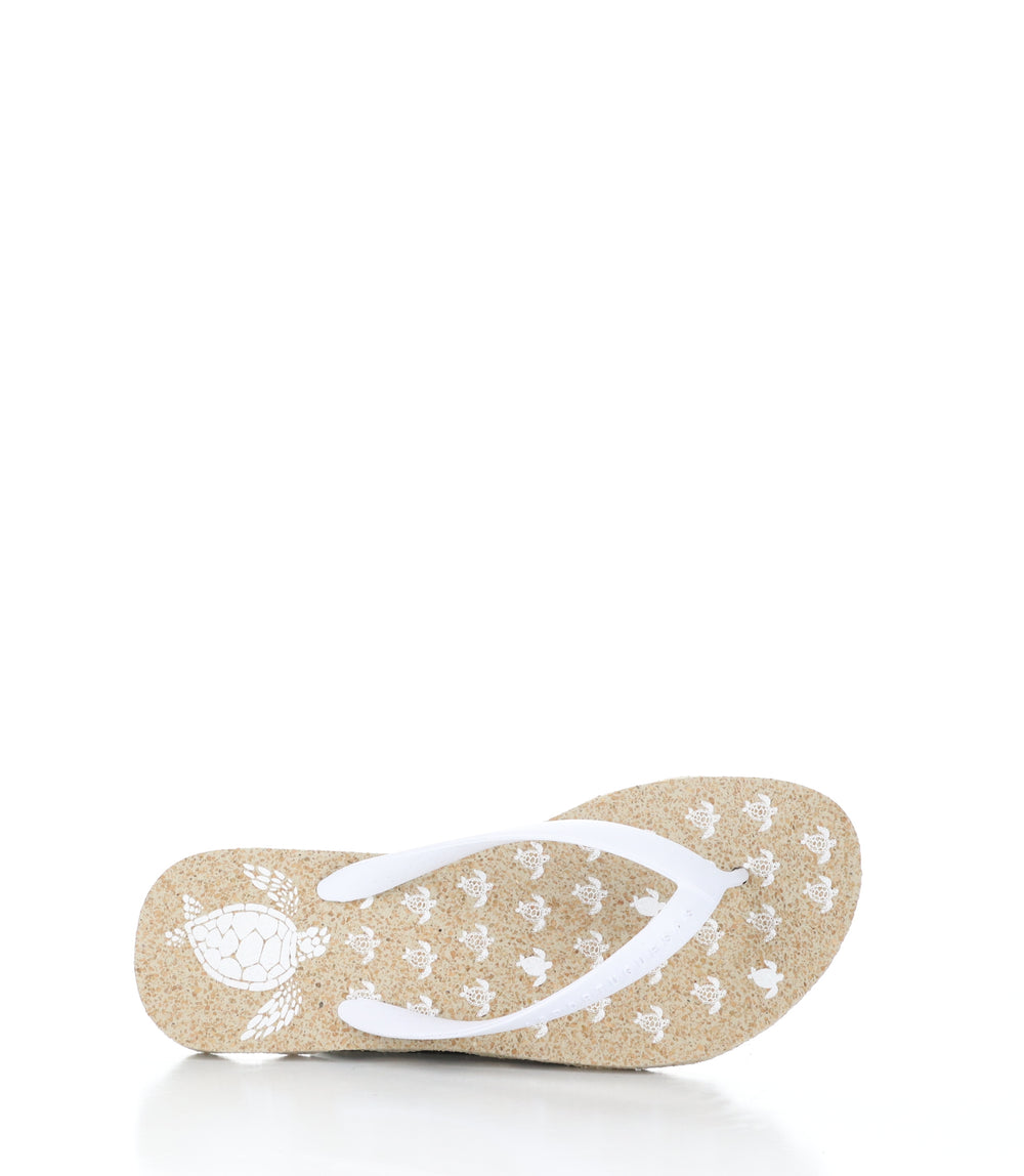 TURTLE112ASP NATURAL/WHITE Round Toe Shoes|TURTLE112ASP Chaussures �� Bout Rond in Blanc