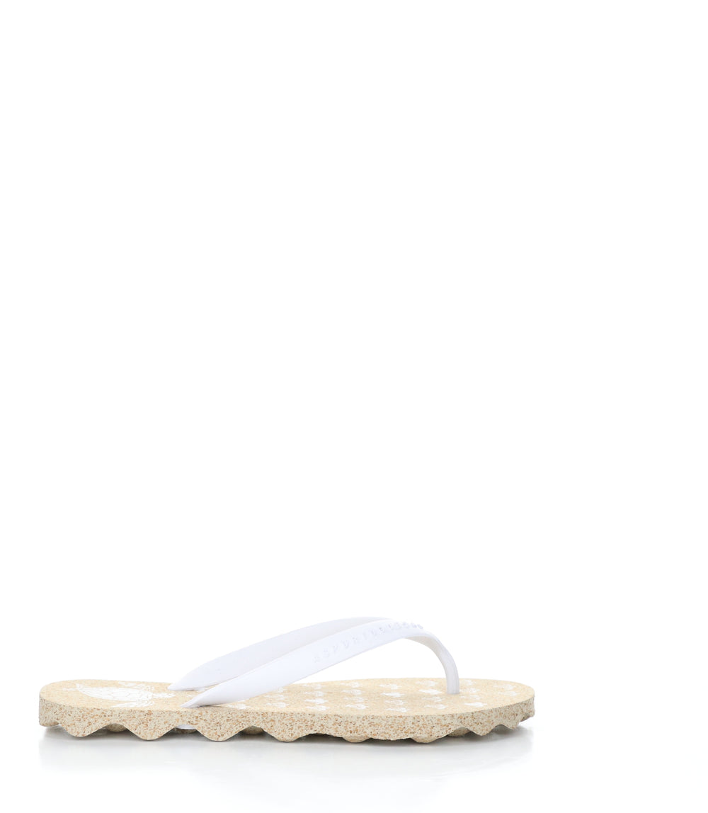 TURTLE112ASP NATURAL/WHITE Round Toe Shoes|TURTLE112ASP Chaussures �� Bout Rond in Blanc