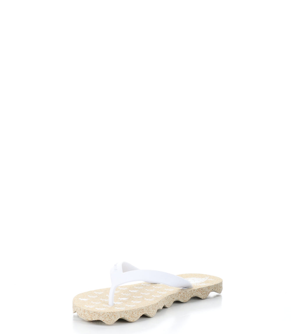 TURTLE112ASP NATURAL/WHITE Round Toe Shoes|TURTLE112ASP Chaussures �� Bout Rond in Blanc